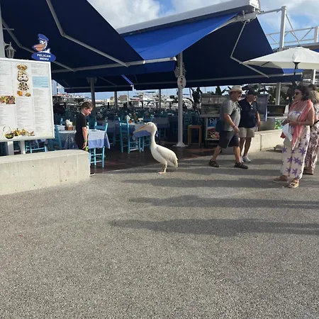 Onero Lovely 아파트 *